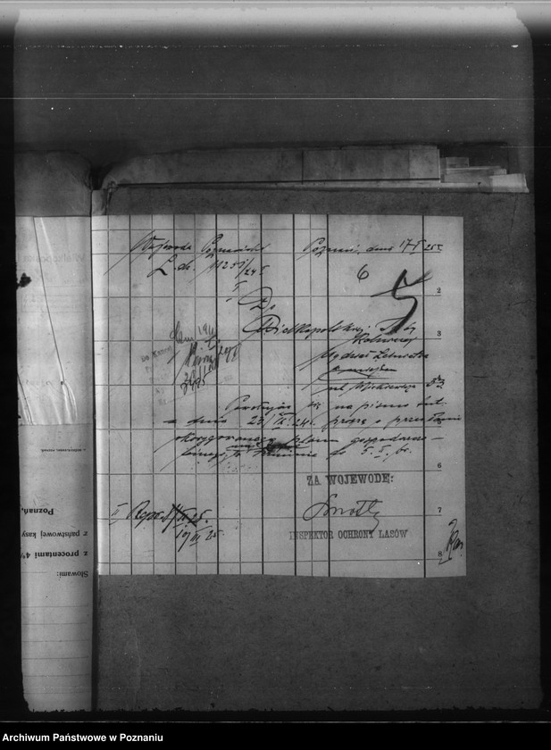 Obraz 11 z jednostki "Majętność leśna Łukowo powiat obornicki"