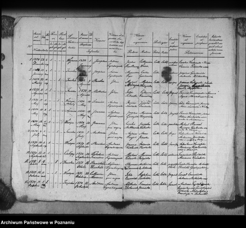 Obraz 4 z jednostki "Liber baptisatorum, copulatorum, mortuorum"