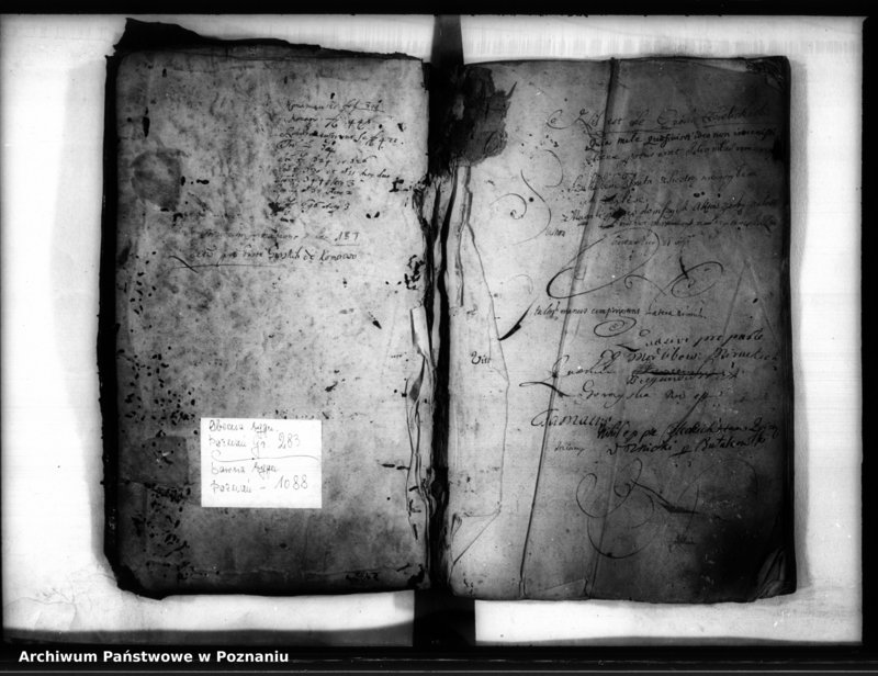 Obraz 3 z jednostki "Inscriptiones [inducta]"