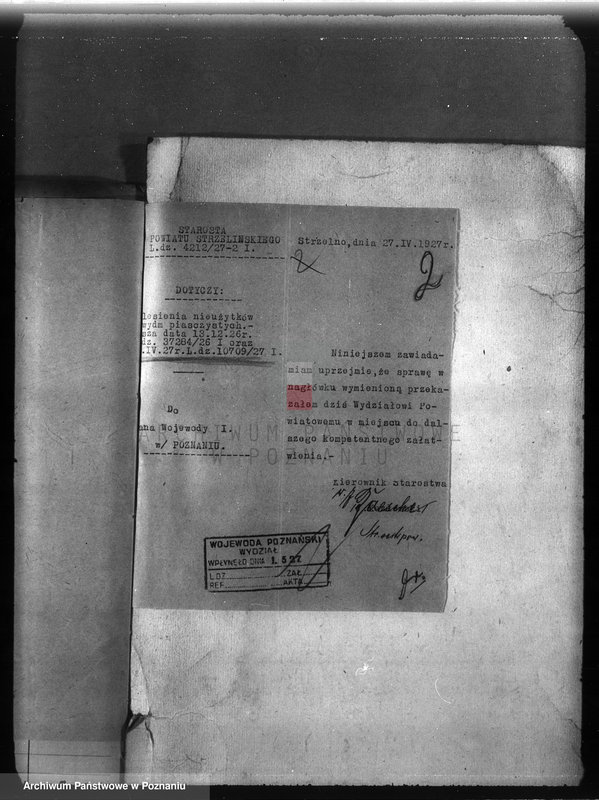 Obraz 6 z jednostki "Zalesienie nieużytków w powiecie mogileńskim"