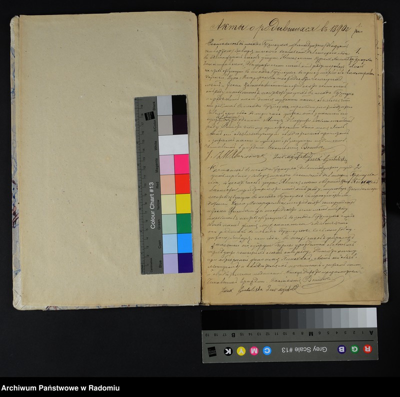 Obraz 5 z jednostki "[Duplikat akt urodzonych, zaślubionych i zmarłych Okręgu Bóżniczego Przysucha za 1890 r.]"