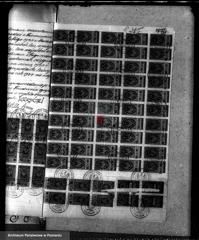 Obraz 12 z jednostki "Nadzór nad gospodarką w lasach majątku Osuch /Z. Busse/ w powiecie czarnkowskim"