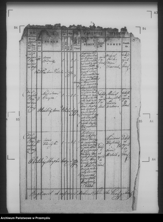 Obraz 9 z jednostki "[Kopie ksiąg metrykalnych parafii Żużel z filią Cebłów (dekanat Bełz)]"