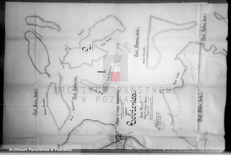 Obraz 20 z jednostki "Rejestr wyłączeń z art. 4 i 5 ustawy o wykonaniu reformy rolnej"