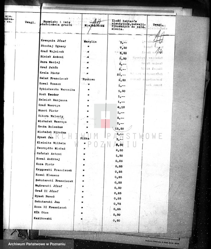 Obraz 16 z jednostki "Zalesianie nieużytków w powiecie czarnkowskim"
