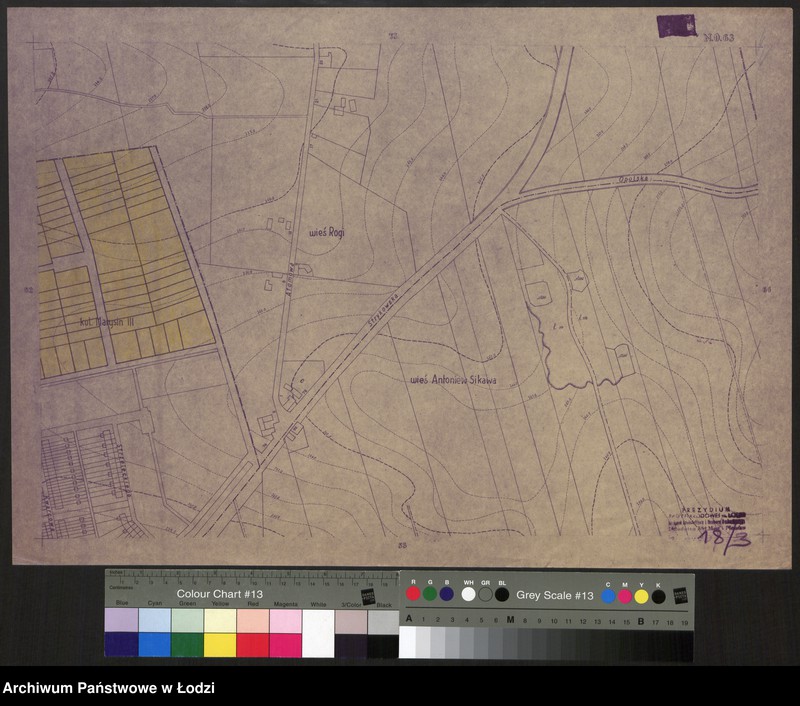 Obraz 1 z jednostki "Plan m. Łodzi 1:2000 z oznaczeniem nieruchomości niezabudowanych lub niedostatecznie zabudowanych. Sekcja NO63"
