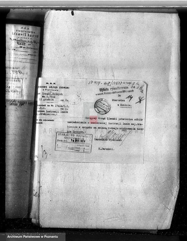 Obraz 18 z jednostki "Majątek Grabienice powiat koniński /nadzór nad gospodarką leśną/"