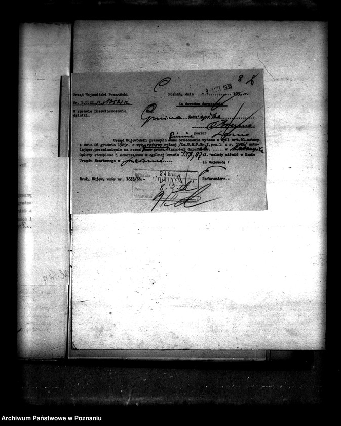 Obraz 14 z jednostki "Przewłaszczenie ziem dotacyjnych majątku Radomyśl powiatu leszczyńskiego"