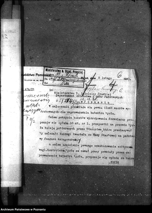 Obraz 10 z jednostki "- księgosusz -"