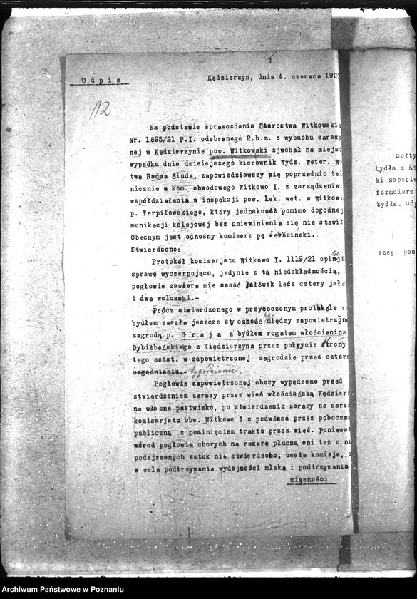 Obraz 17 z jednostki "Zaraza płucna - Witkowo"