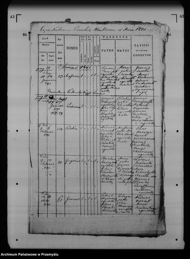 Obraz 15 z jednostki "[Kopie ksiąg metrykalnych parafii Maćkowice z filią Kosienice (dekanat Przemyśl)]"