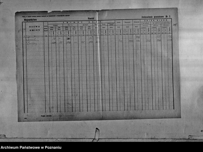 Obraz 6 z jednostki "/Statystyka produkcji rolnej - zestawienie powiatowe - Ostrów/"