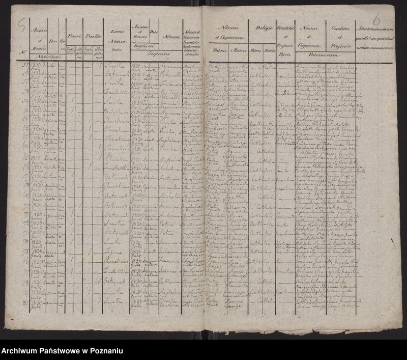 Obraz 5 z jednostki "Spis urodzeń"