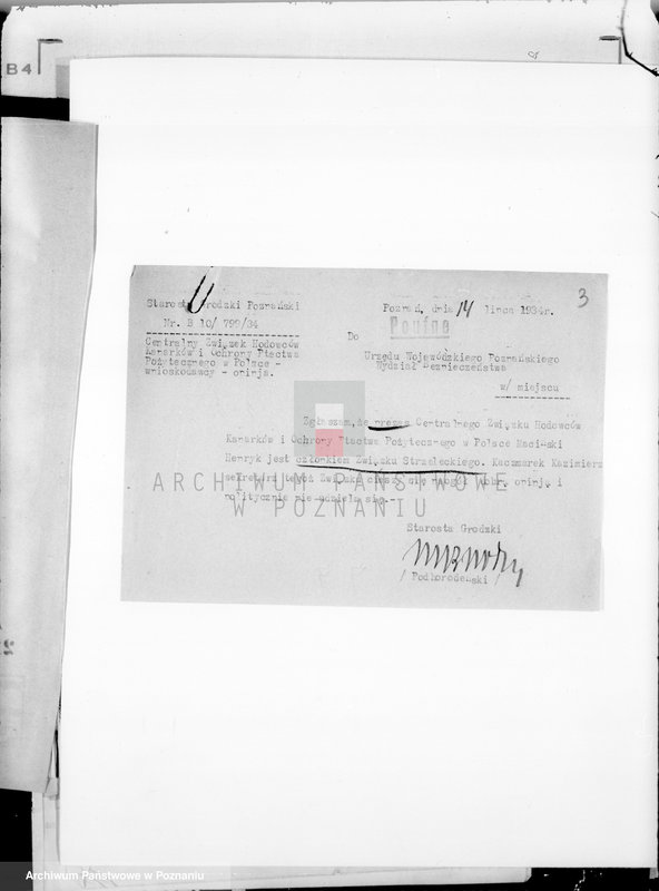 Obraz 7 z jednostki "/Centralny Związek Hodowców Kanarków i Ochrony Ptactwa Pożytecznego-Oddział w Poznaniu/"