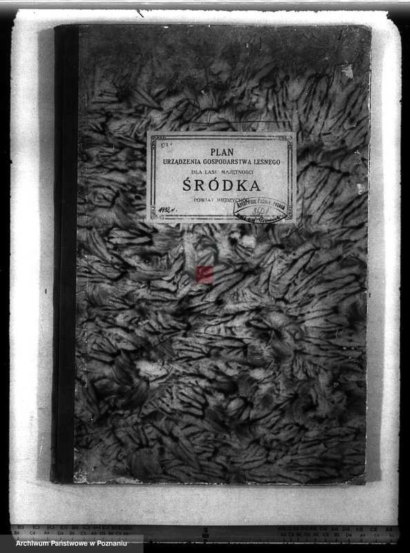 Obraz 4 z jednostki "Plan urządzenia gospodarstwa leśnego dla lasu majętności Śródka w powiecie międzychodzkim 1930-1940"