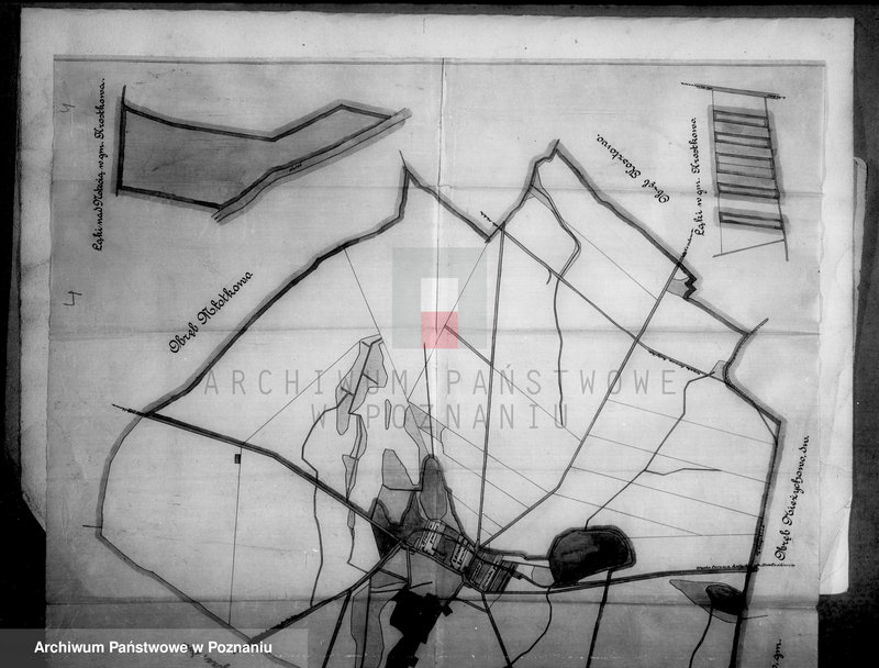 Obraz 13 z jednostki "Majątek Jeziorki Kosztowskie powiatu wyrzyskiego wyłączenie z art. 4/5 ustawy o wykonaniu reformy rolnej Ernst Buttner"