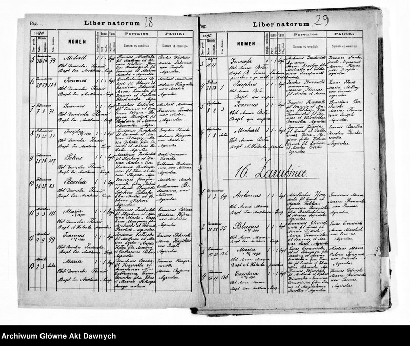 image.from.unit.number "Parafia: Grzymałów. Dekanat: Skałat. Kopie z ksiąg metrykalnych ur., śl., zg. dla całej parafii (miasto Grzymałów i wsie)."
