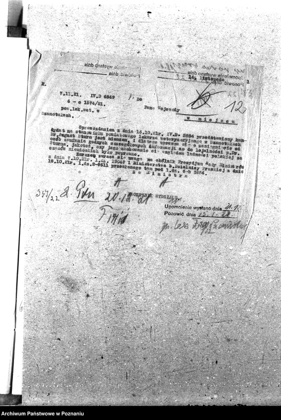 Obraz 16 z jednostki "Pow. lekarz Weterynaryjny Szamotuły"