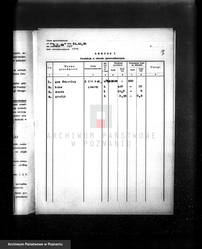 Obraz 11 z jednostki "Gazownia Miejska w Czarnkowie Kwestionariusze"