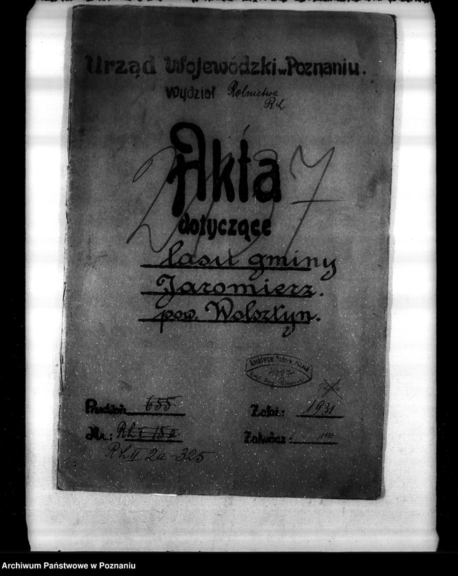 Obraz 4 z jednostki "Las gminy Jaromierz powiat wolsztyński"