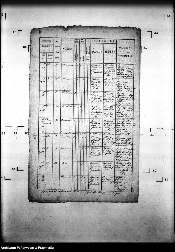 Obraz 8 z jednostki "[Kopie ksiąg metrykalnych parafii Krzywa z filiami Jasionka, Wołowiec (dekanat Gorlice)]"