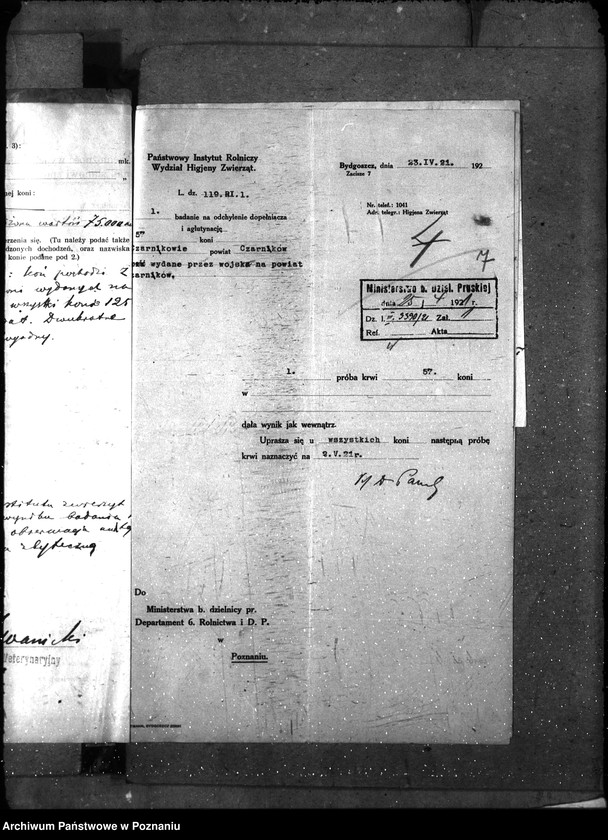 Obraz 11 z jednostki "Nosacizna - Czarnków"