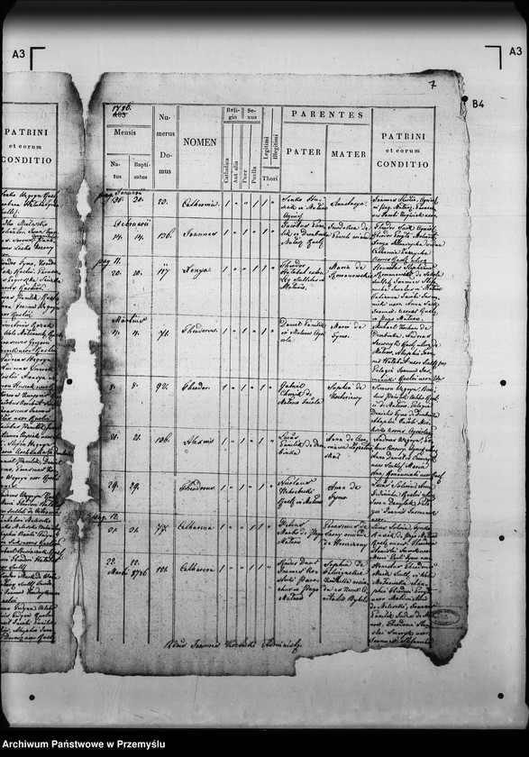 Obraz 12 z jednostki "[Kopie ksiąg metrykalnych parafii Małnów (dekanat Mościska)]"