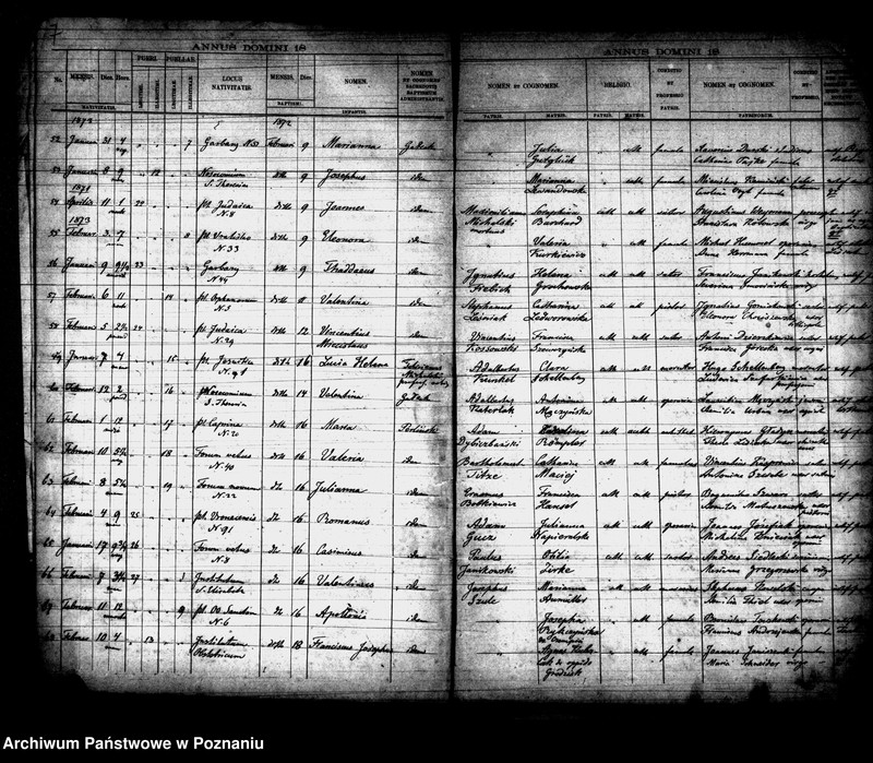 Obraz 5 z jednostki "Księga urodzin"