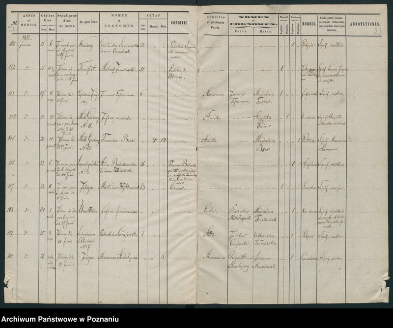 Obraz 13 z jednostki "Księga zgonów"