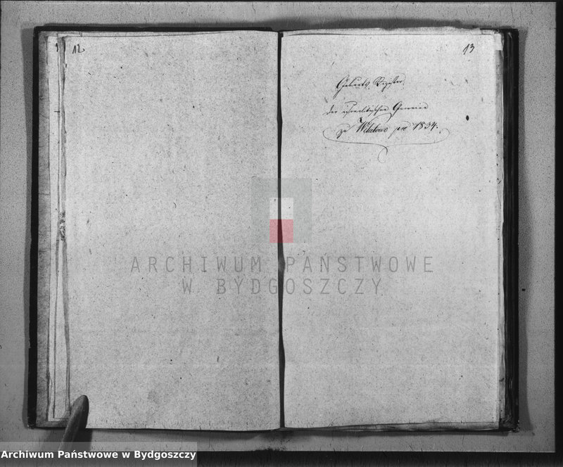 image.from.unit.number "Duplicate der Civil Standes Bücher der Juden Gemeinde zu Wilatowo"