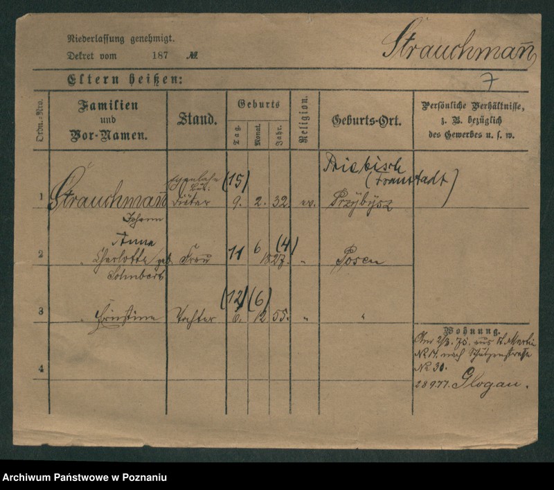 Obraz 19 z jednostki "Strauchman - Striwy (Strü...)"