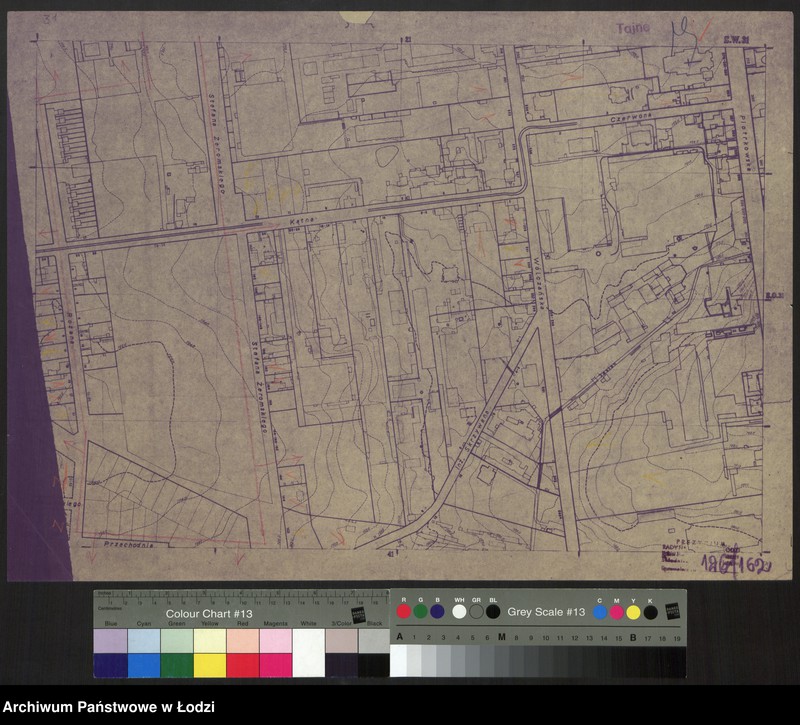 Obraz 1 z jednostki "Plan miasta Łodzi. Sekcja SW 31"