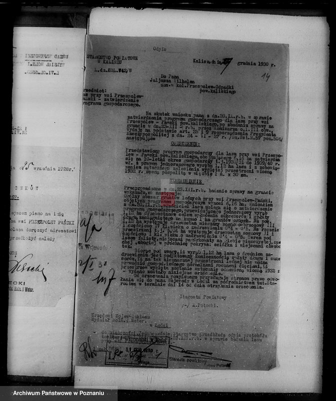 Obraz 18 z jednostki "Gmina Ceków w powiecie kaliskim nadzór nad gospodarką w lasach"