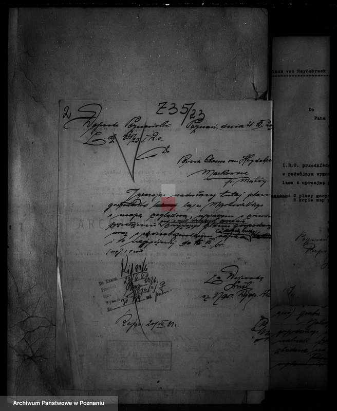 Obraz 7 z jednostki "Nadzór nad gospodarką w lasach majętności Markowice powiat mogileński"