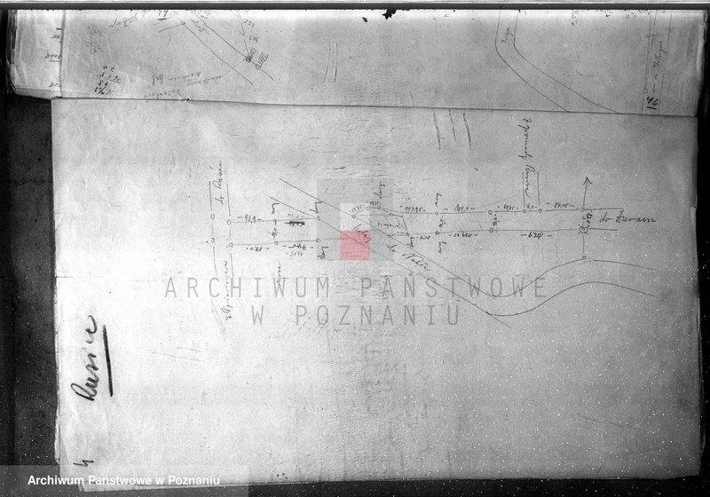 Obraz 8 z jednostki "Mapy majątku Rusiec w powiecie żnińskim"