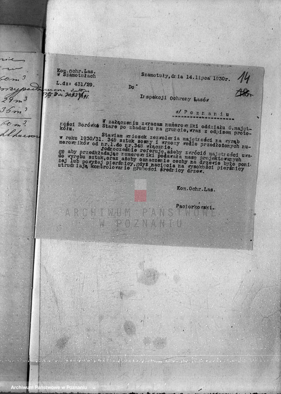 Obraz 18 z jednostki "Majętność Borówko Stare /nadzór nad gospodarką leśną/"