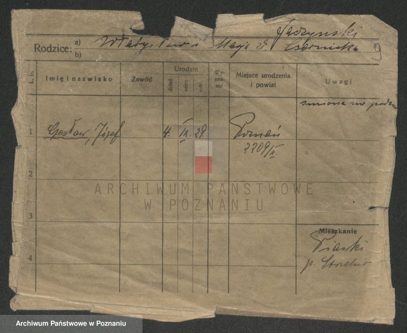 Obraz 9 z jednostki "Jaczyński - Jajuge"