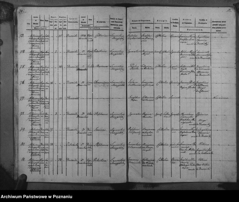 Obraz 19 z jednostki "Duplicat baptisatorum, copulatorum, mortuorum"