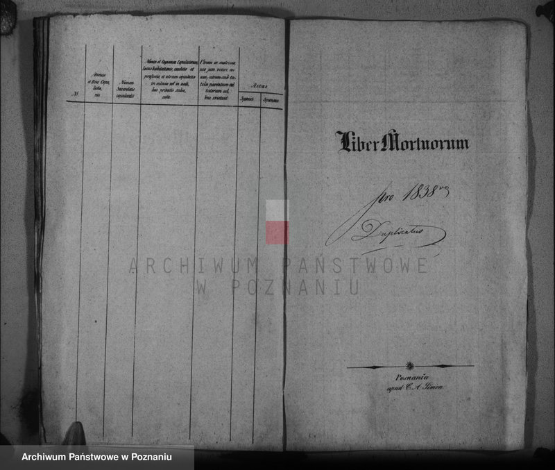 Obraz 11 z jednostki "Duplikat baptisatorum, copulatorum, mortuorum"