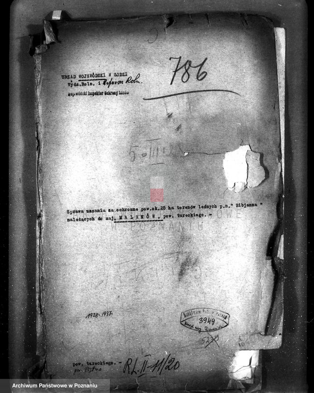 Obraz 4 z jednostki "Uznanie za ochronne powierzchni około 25 ha terenów leśnych pod nazwą,,Bibianna" należących do majątku Malanów powiat turecki"