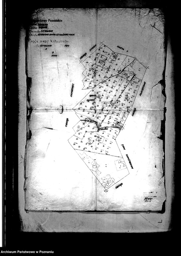 Obraz 5 z jednostki "/Różne plany i mapy majątku Szydłowo powiatu mogileńskiego/"