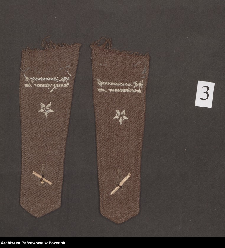image.from.unit.number "Pamiątki materialne po zmarłym mjr. Tadeuszu Goetzendorf-Grabowskim"