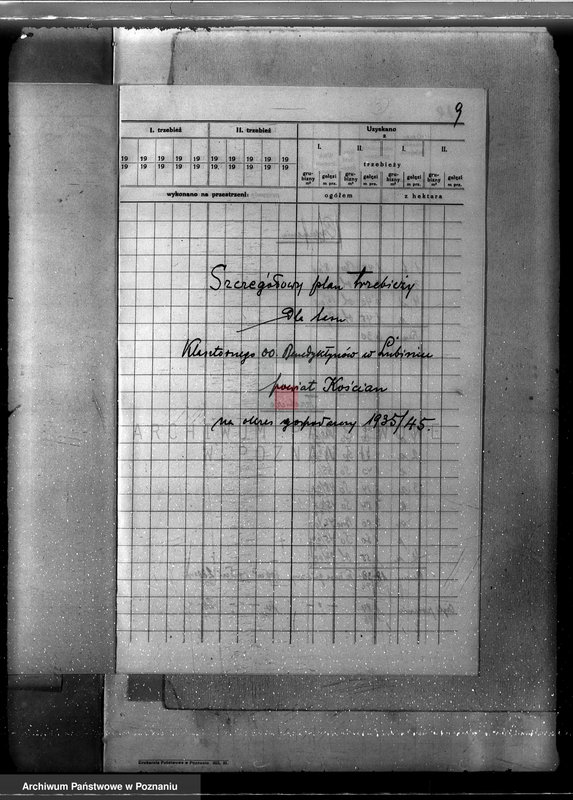 Obraz 13 z jednostki "Program urządzania gospodarstwa leśnego dla lasu klasztoru O.O Benedyktynów w Lubiniu powiat kościański"