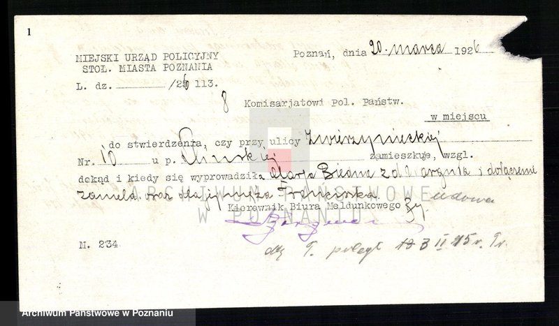 Obraz 3 z jednostki "Biały - Biedowicz"