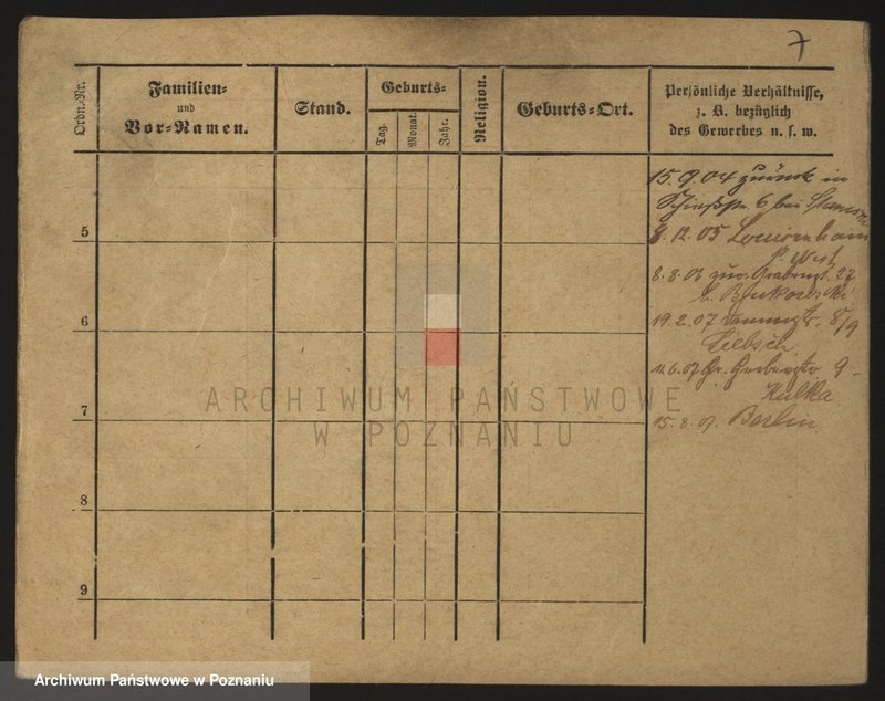Obraz 16 z jednostki "Stanislewicz - Stankowski"