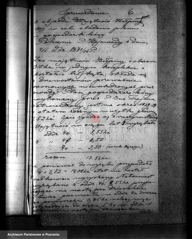 Obraz 11 z jednostki "Majętność leśna Kiełpiny powiat wolsztyński"