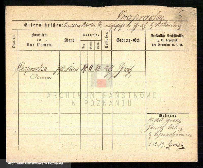 Obraz 7 z jednostki "Czapnik - Czarnecki"