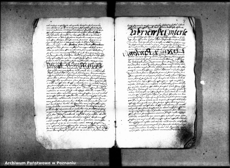 Obraz 6 z jednostki "Inscriptiones [inducta]"