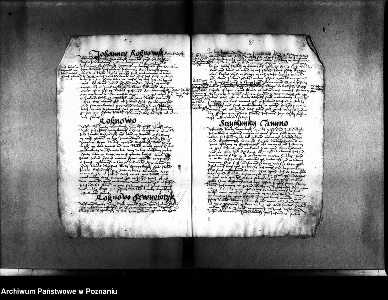 Obraz 14 z jednostki "Inscriptiones, relationes, decreta [inducta]"