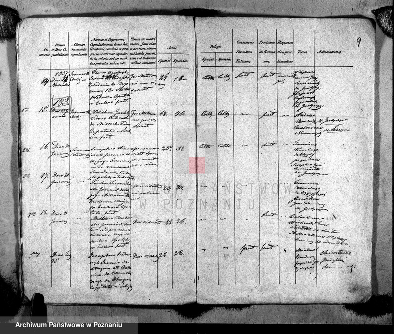 image.from.unit.number "Metrices copulatorum"